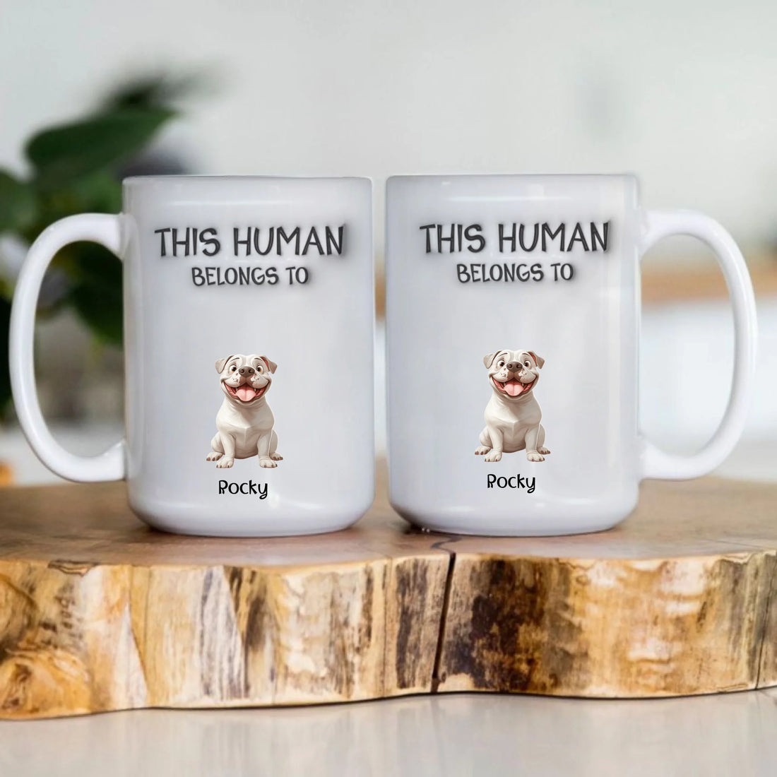 Find Your Dog Breeds